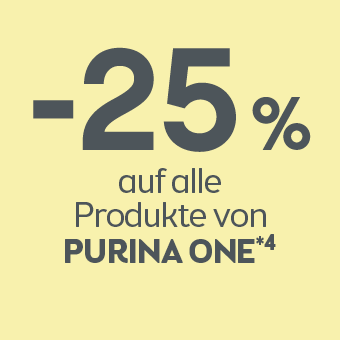 Jetzt sparen