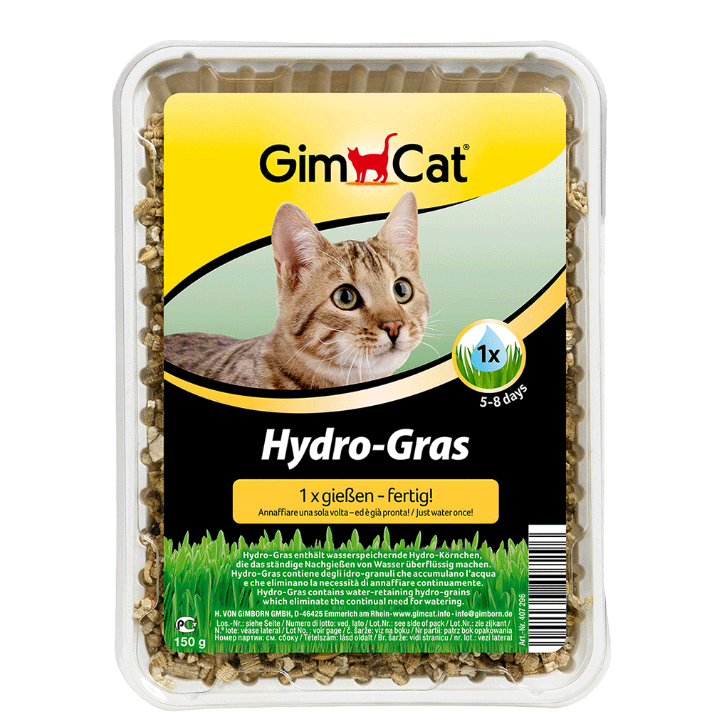 Bild: GimCat Hydro Katzengras 