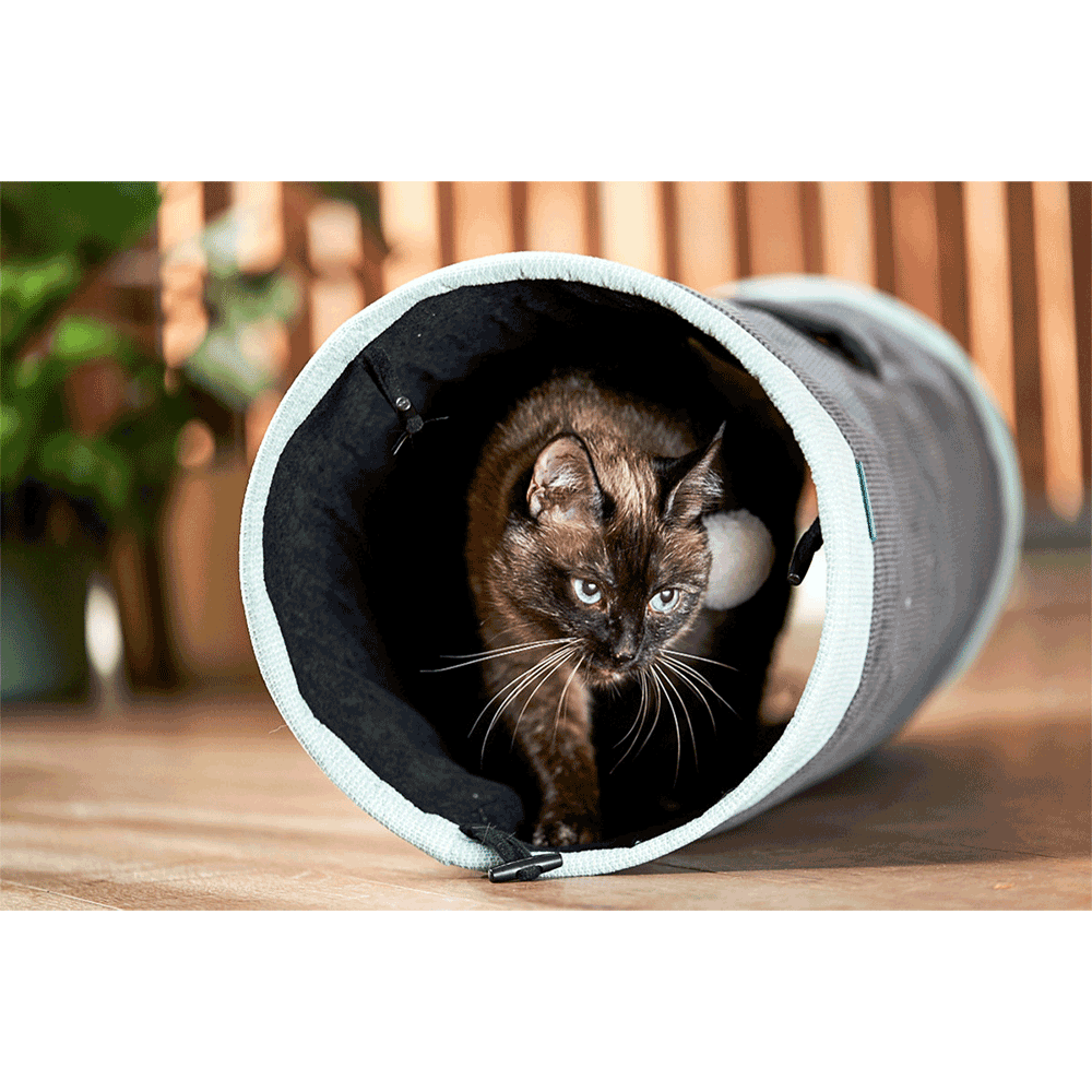 Bild: ZooRoyal Rascheltunnel Maja anthrazit 