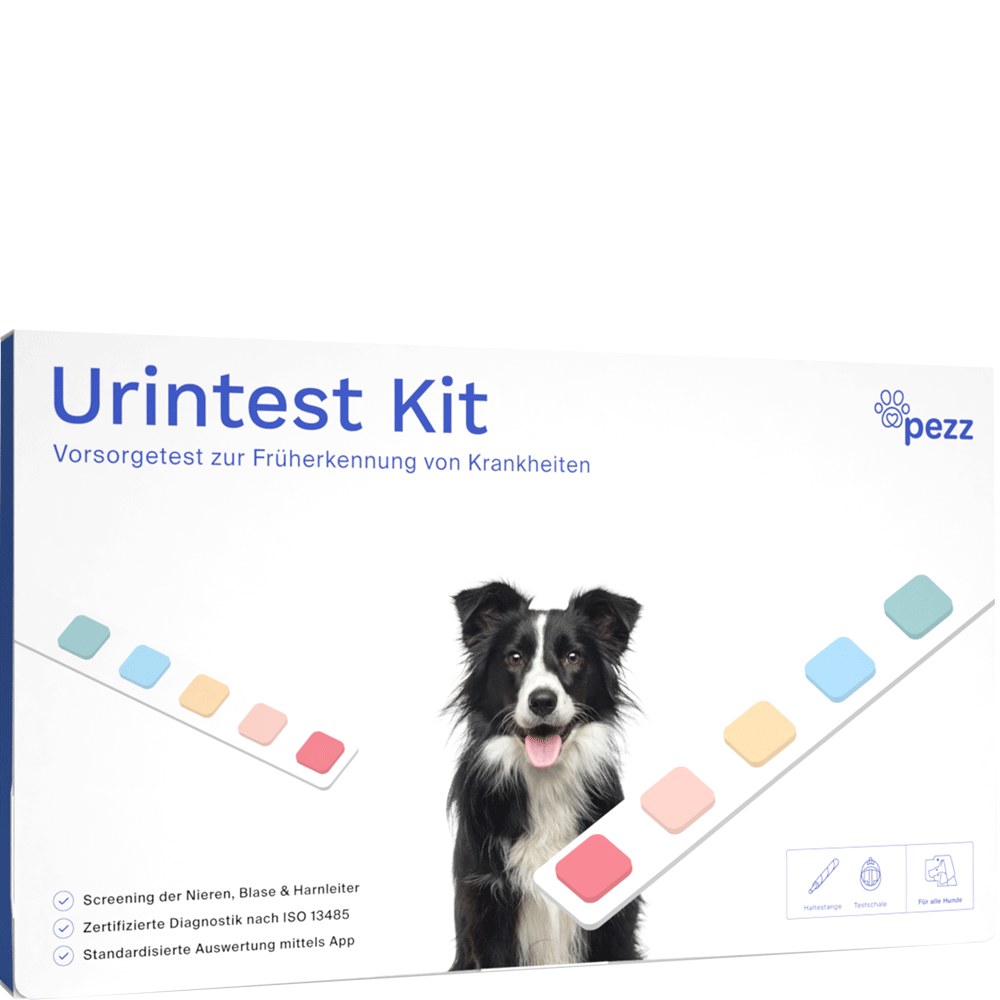 Bild: Pezz Life Urintest Kit für Hunde 