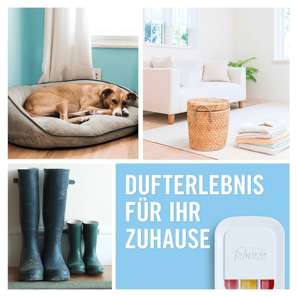 Bild: Febreze 3Volution Goldene Orchidee Duftstecker Nachfüller 