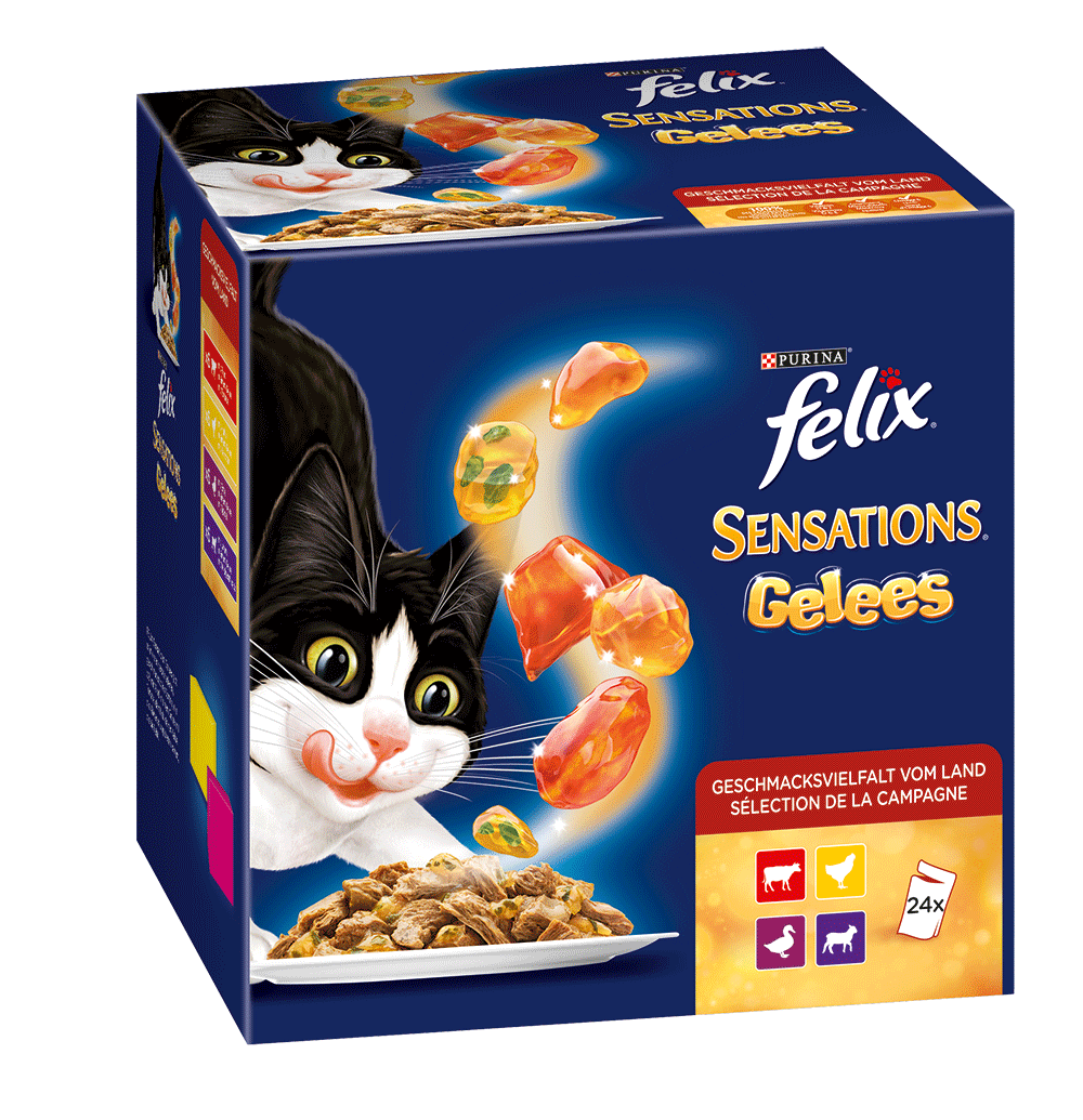 Bild: Felix Sensations Fleisch 24x85g 