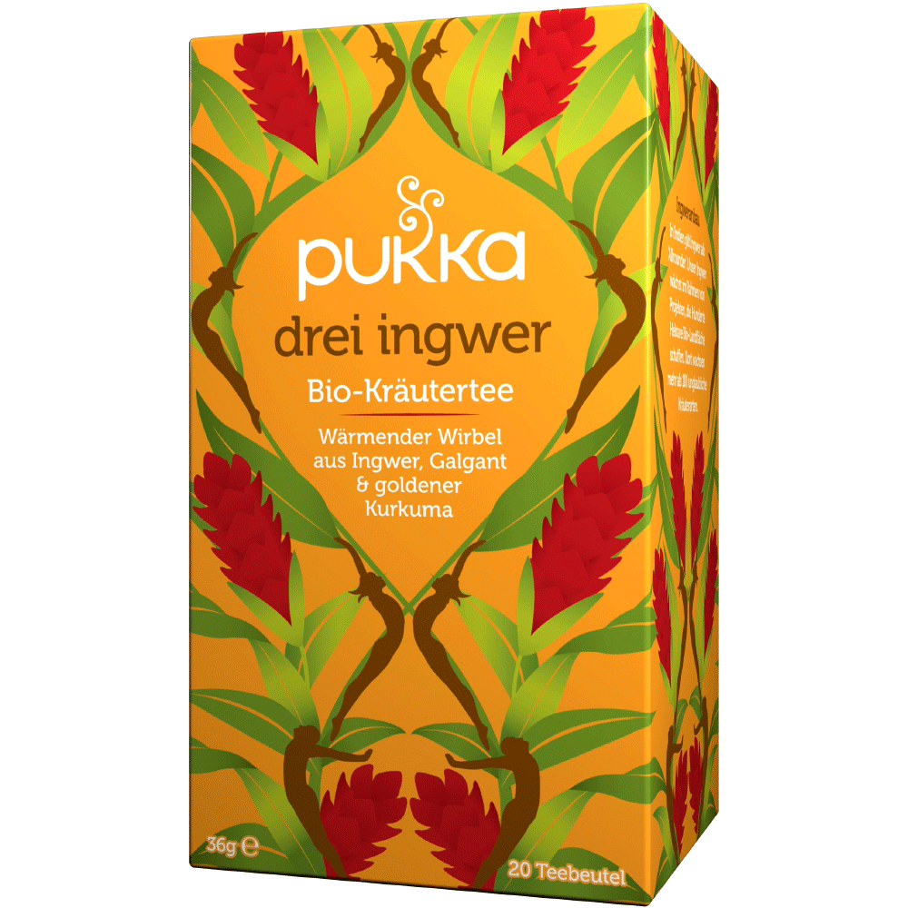 Bild: pukka Bio Tee Drei Ingwer 