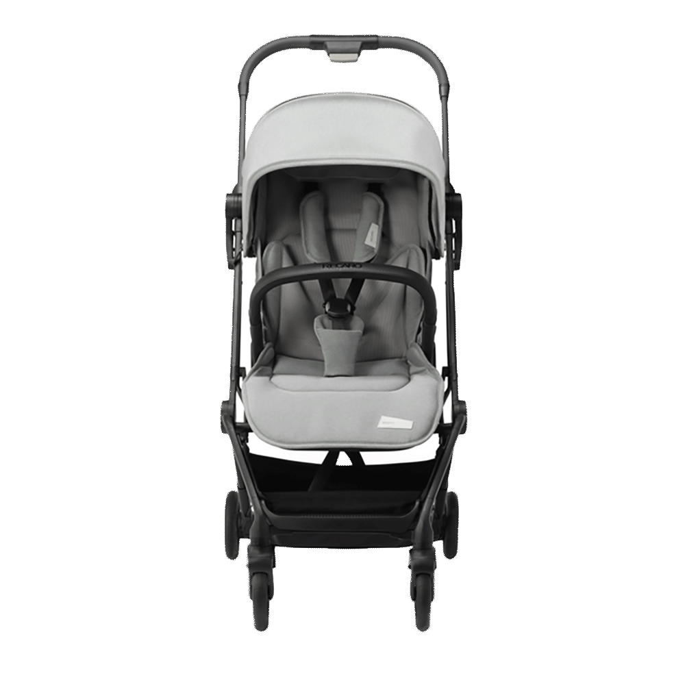 Bild: RECARO Lexa Elite Kinderwagen Silent Grey