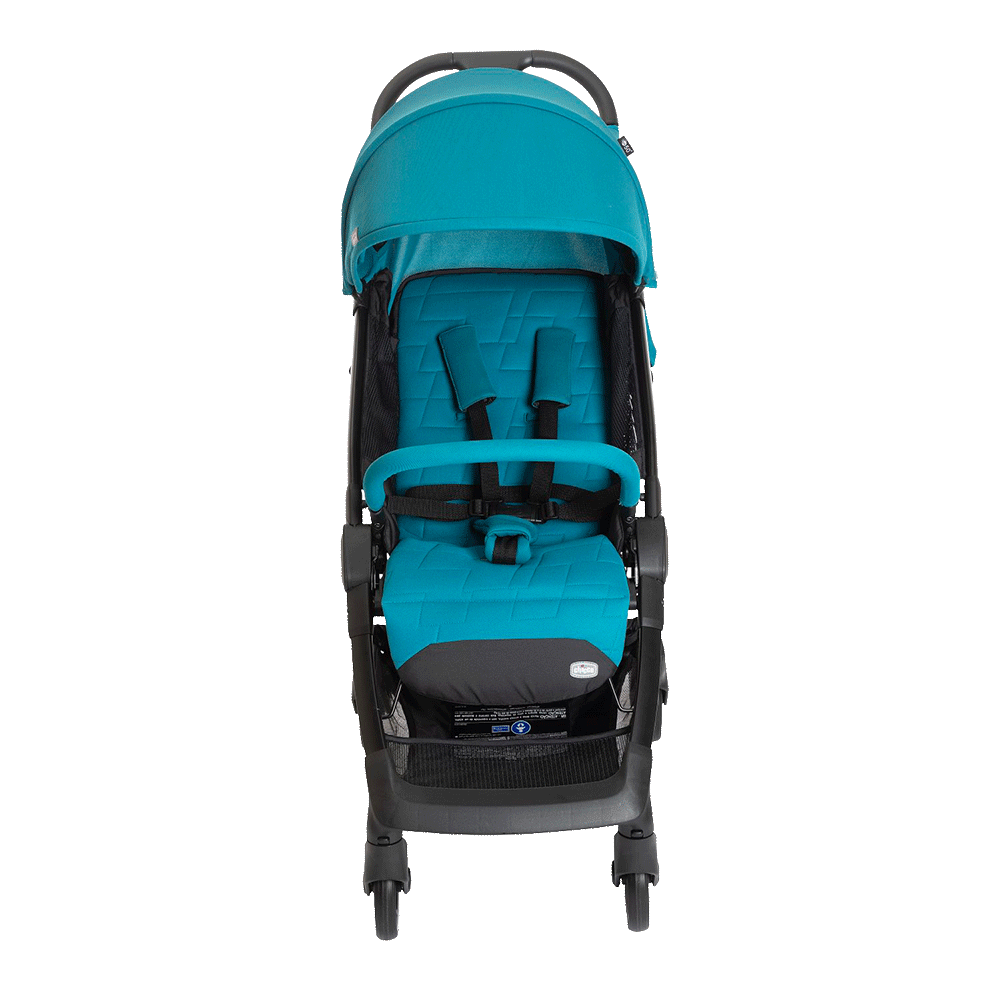 Bild: chicco WE Kinderwagen Balsam