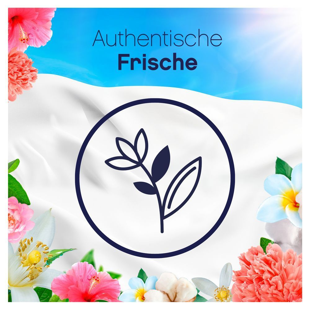 Bild: Lenor Weichspüler Lindenblüte & Meersalz