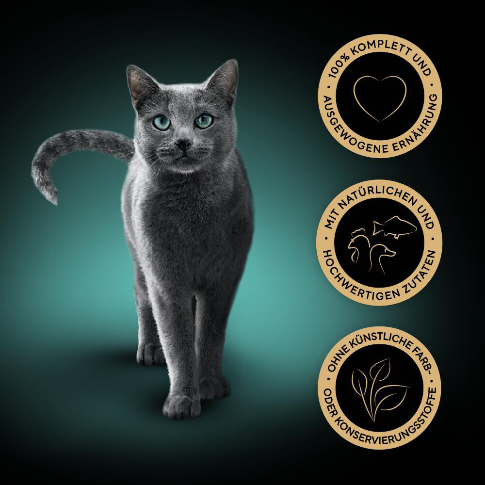 Bild: Sheba Sauce Collection Fein Vielfalt