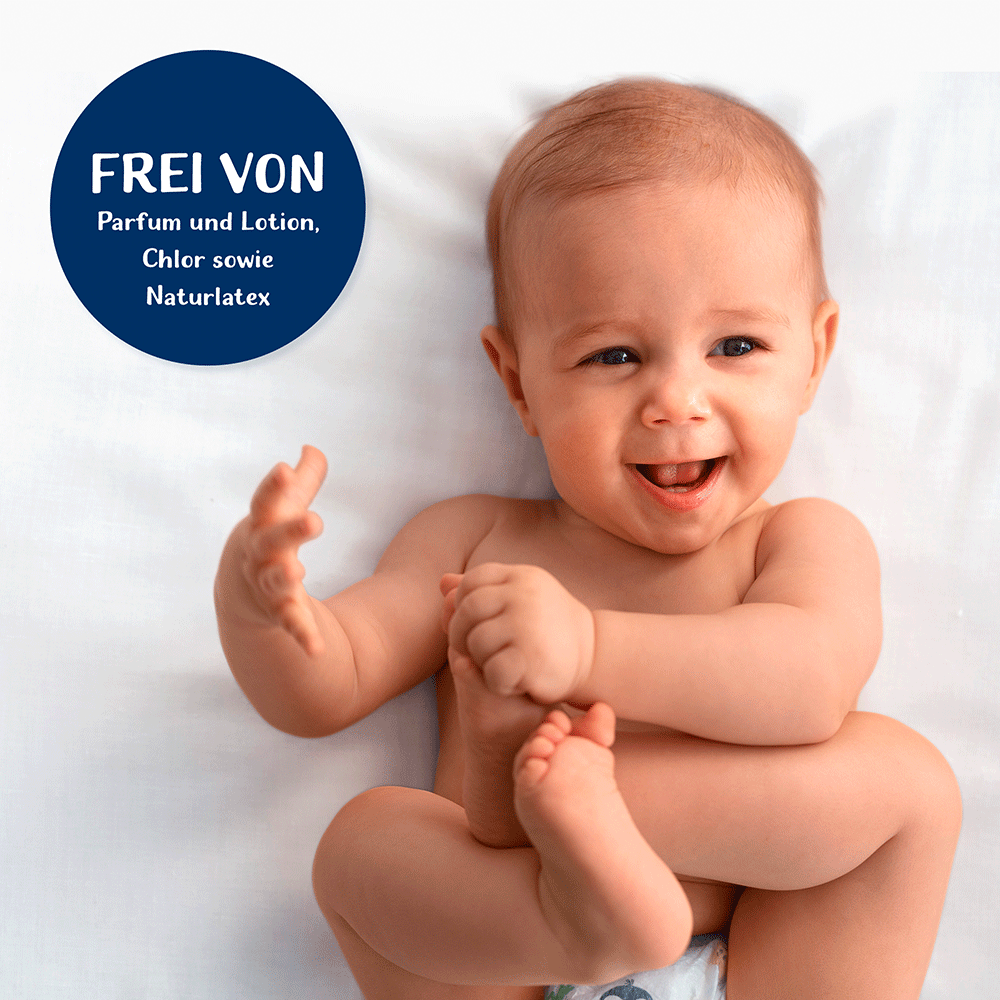 Bild: HiPP Vorratsbox Babysanft Windeln Gr. 5
