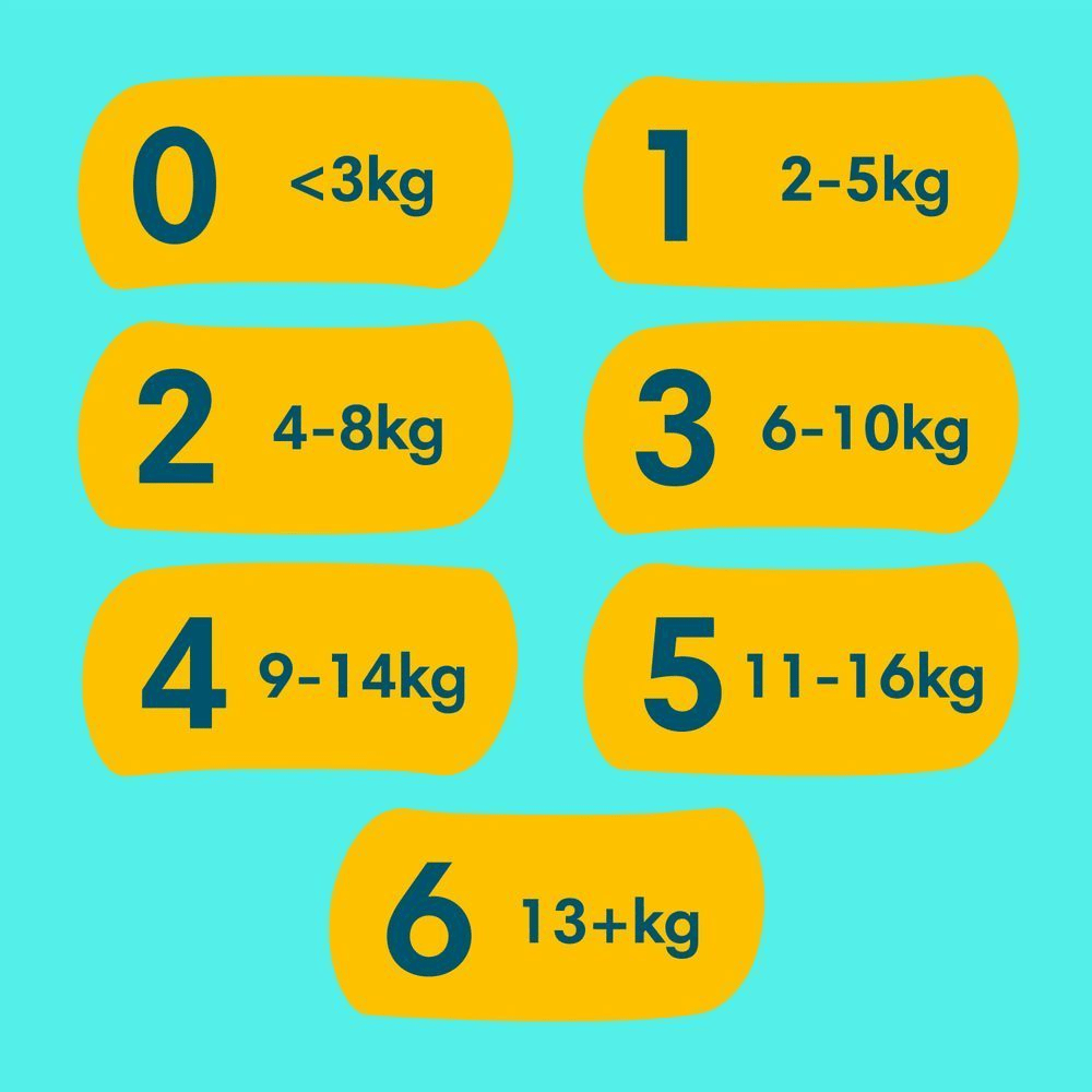 Bild: Pampers Premium Protection Größe 5, 11kg - 16kg