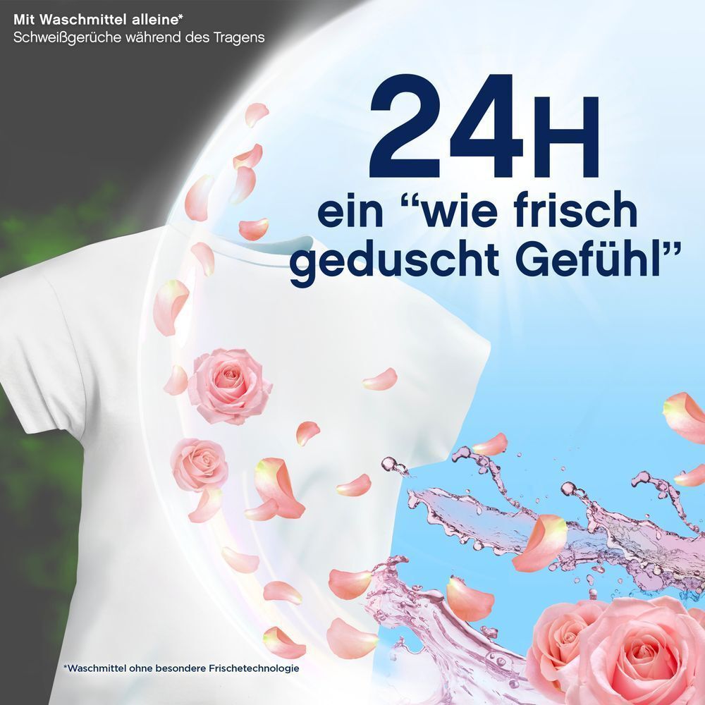 Bild: Lenor Weichspüler, Frühlingsgarten